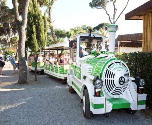 Albatros, Camping Park, Tuscany, San Vincenzo, Tower of Pisa